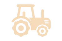 Direto do campo