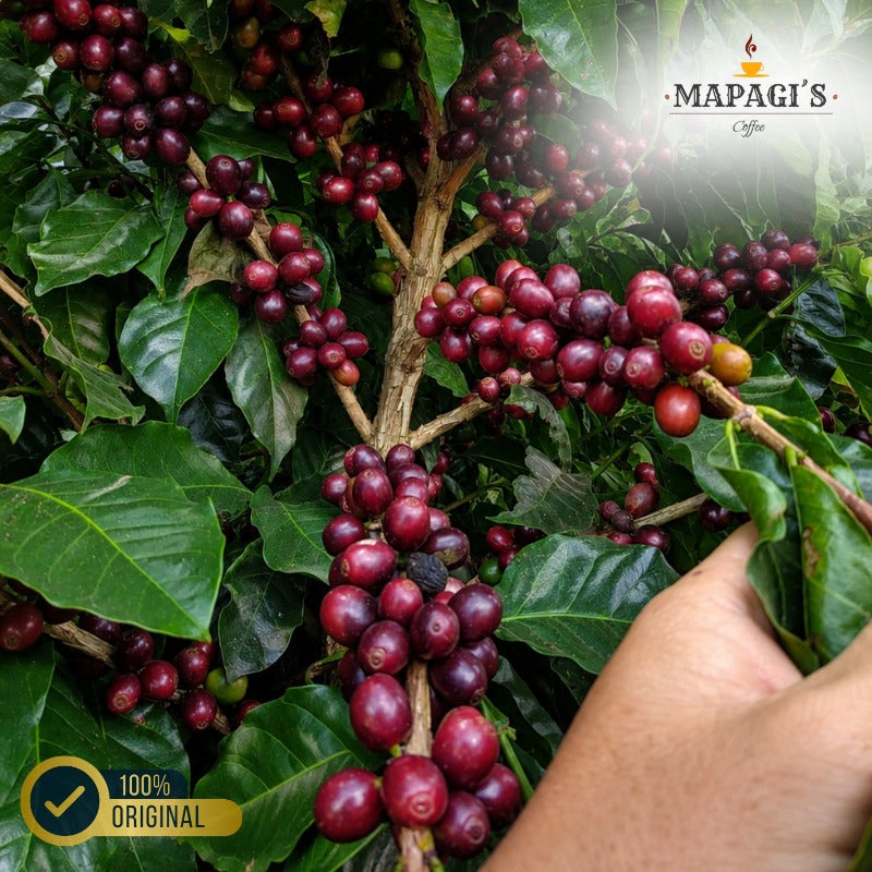 Café Mapagi´s 500 gramas