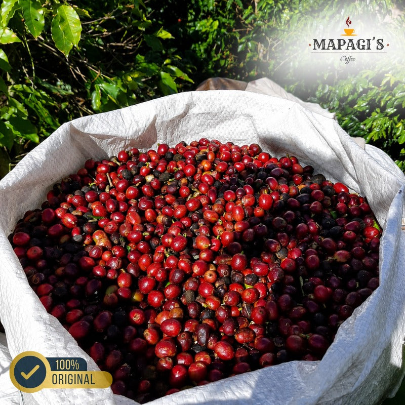 Café Mapagi´s 500 gramas